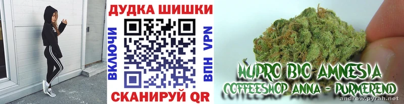 Канабис ГИДРОПОН  Армянск 